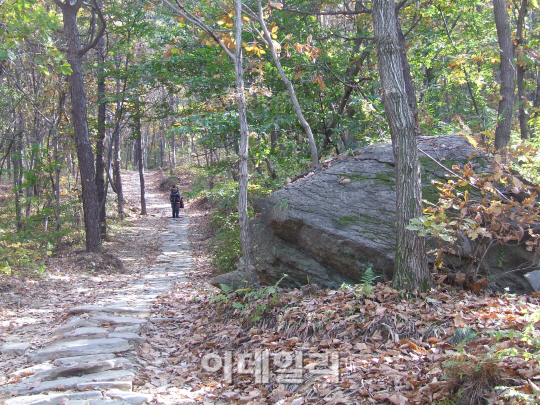 [休]천국으로 가는 계단을 품은 산, 파주 심학산