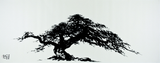 앉은뱅이 소나무도 그 기상은 꼿꼿하오