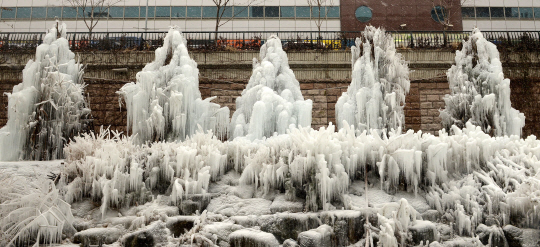  청계천 오간수교 얼음 나무                                                                                                                                                                        