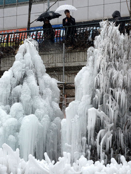  시민들의 눈길 끄는 얼음나무                                                                                                                                                                      