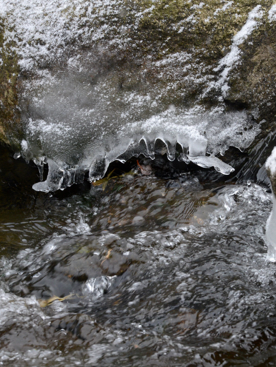  얼음 언 징검다리                                                                                                                                                                                 