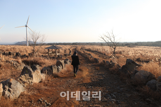  아름다워서 더 슬픈 마을, 제주의 보석 '가시리'