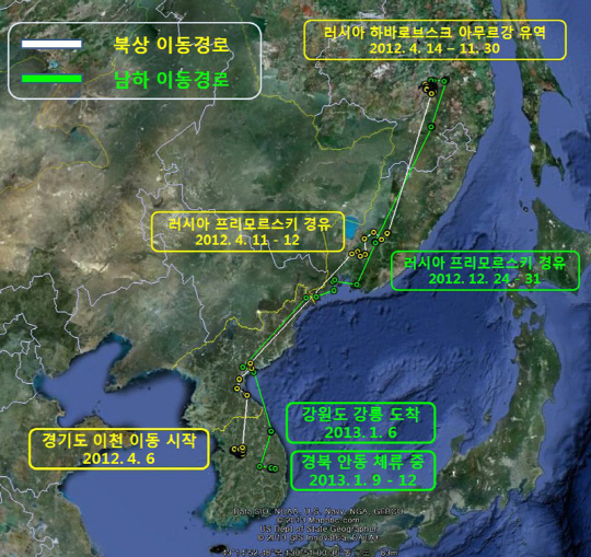 [포토] 겨울철새 흰꼬리수리 이동경로 첫 확인