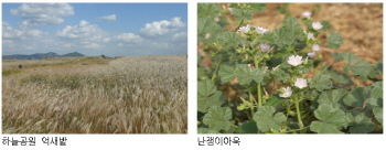 쓰레기매립지서 월드컵공원으로…10년 만에 동식물 2배↑