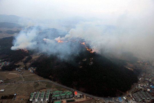 주말에만 산불 21건…산림 70헥타르 이상 불타
