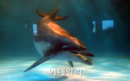 '고향으로'                                                                                                                                                                              