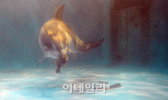 [포토]고향 돌아갈 훈련하는 제돌이
