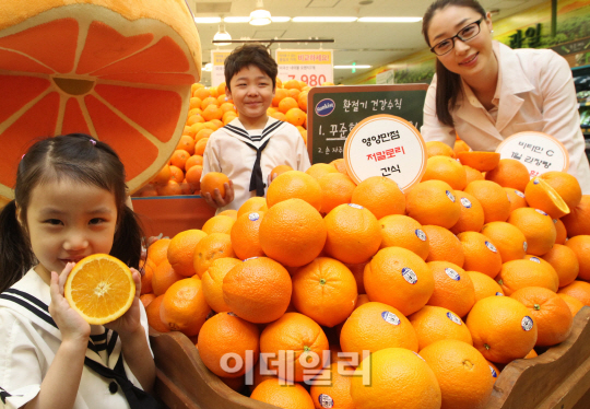 [포토]면역력 증진하는 햇 오렌지 맛 보세요