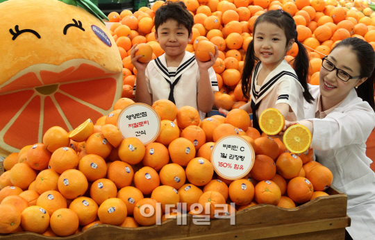 [포토]면역력 증진하는 햇 오렌지 맛 보세요