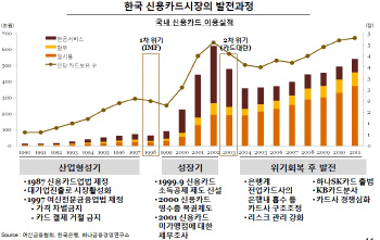 한국 신용카드, 경제발전·굴곡의 단면