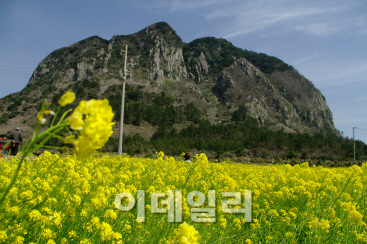 인고 속에 피어난 추사…내 절망도 유배시키련다