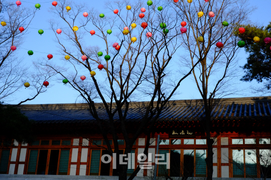 [포토]길상사 설법전 앞 연등나무