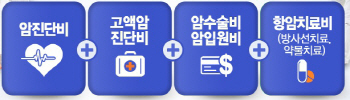 부담백배 암 치료비, 암보험 비교추천 `필수`