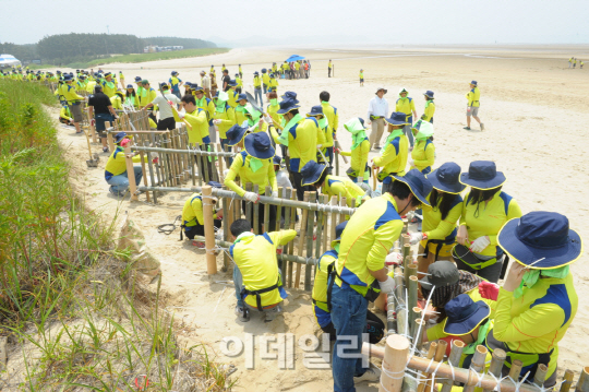 한국암웨이, '아름다운 태안찾기' 봉사활동