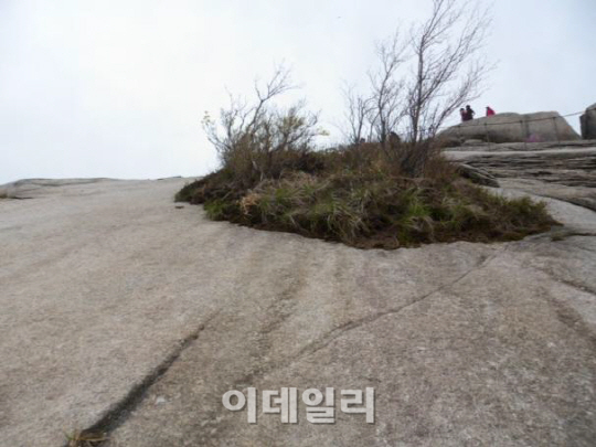 국립공원관리公, 백운대 암반 토양층 보호에 발 벗고 나서