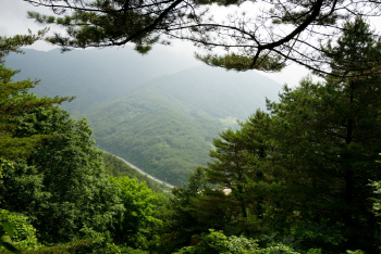 산길따라 물길따라 지리산 둘레길에서 만드는 여름추억