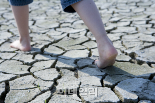 무더운 여름 날, 발은 더 무더워! -발건강 주의보