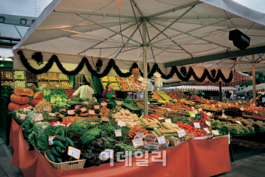 과일.야채도 편식하지 말고 골고루 먹어야 건강에 도움