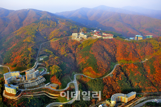 [국내여행]개천절 징검다리 휴일, 하이원으로 가을여행 떠나세요