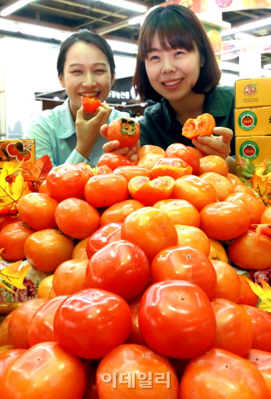 [포토]달콤한 홍시 맛보세요~'