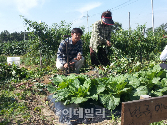 “이웃의 정 느끼고 싶으면 단독주택에 살아보세요”