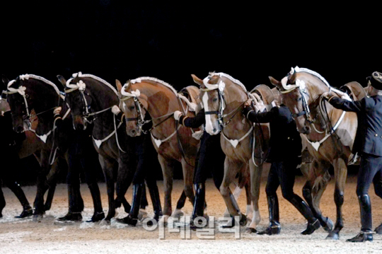 "27일엔 서울경마공원 가자"..'말(馬)갈라쇼' 국내 첫선