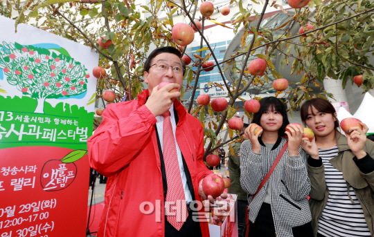 [포토]2013 서울시민과 함께하는 청송사과 페스티벌