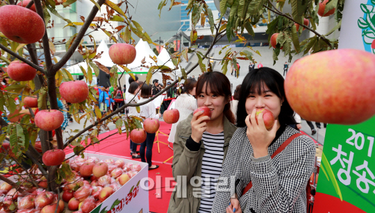 [포토]청송사과 맛보세요!