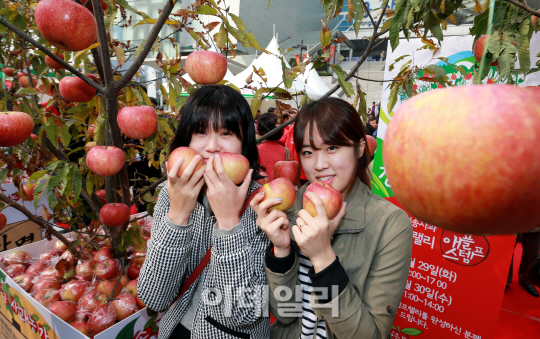 [포토]청송사과 맛있어요~