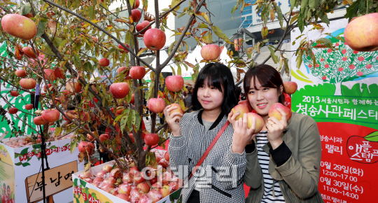 [포토]청송사과 맛있어요~