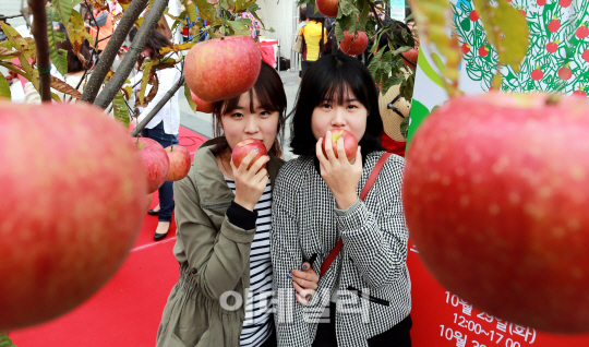 [포토]청송사과 맛있어요~