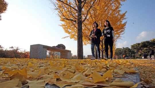 [포토] 가을 낙엽 수북한 대학 캠퍼스