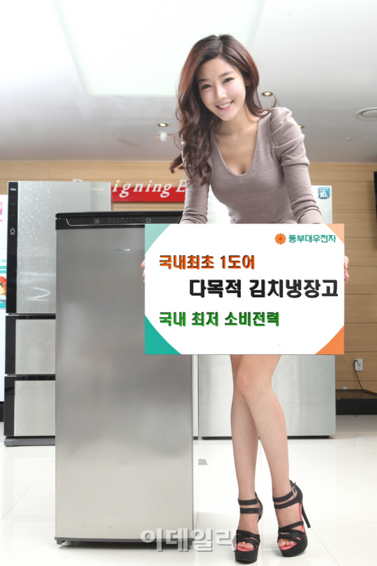 거침없는 소형가전의 진격,김치냉장고로 확대