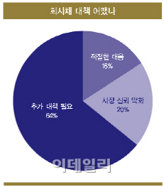 회사채 지원, 진단이 틀렸다