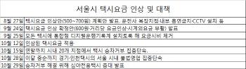 서울 택시요금 인상 한달..택시회사·개인택시만 웃었다