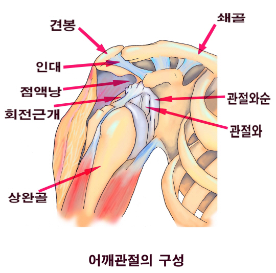  라운딩 중 발생하는 '충돌증후군'