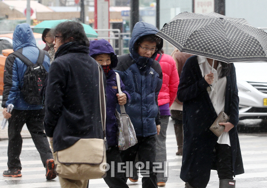 [포토]'폭설이 오기는 하는 거야?'