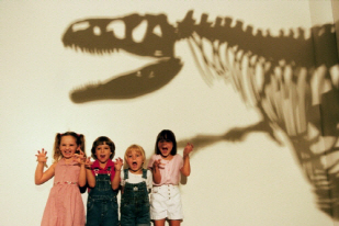 아기공룡 화석 발견, '뿔'달린 공룡 中 가장 작은 키 눈길