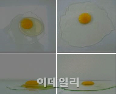 신선한 계란 고르는법