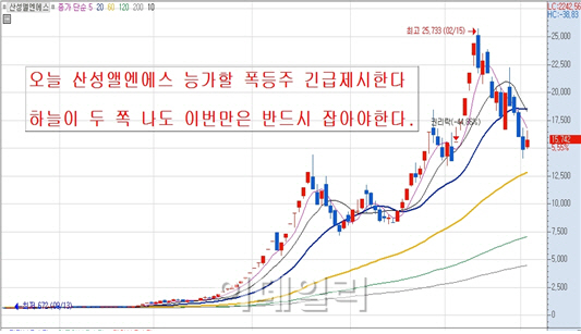 ‘미친 폭등’ 42배 폭등은 기본! 大폭등주 내일 터진다