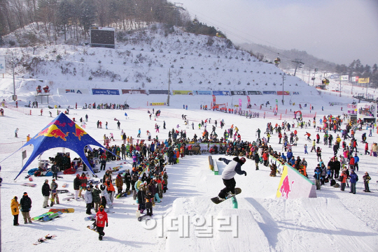 휘닉스파크 '월드 스노우보드 데이 2013' 열어