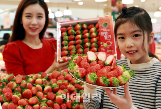 [포토]롯데마트, 딸기 20% 저렴하게 판매