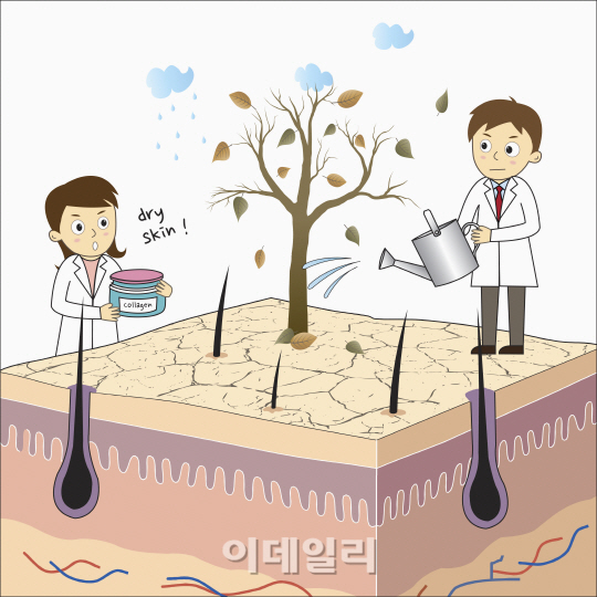 첫 인상을 좌우 피부...철저한 자기관리로 극복 가능