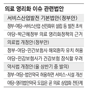 이번엔 의료‥여야 민영화 논쟁 2월국회 달군다