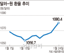신흥국 금융시장 요동...韓 경제 영향은?