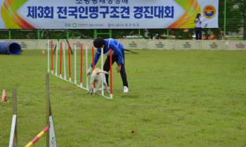 [주목!이 전공]애견과 함께 취업까지..서정대 애완동물학과