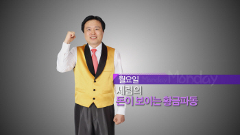  하락갭의 비밀 - 세림 임상현