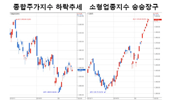  “원칙을 지키는 강한 멘탈이 필요하다!” (영상)