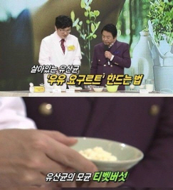 티벳버섯 효과와 맛있게 먹는법 후기 빗발, 무료분양은..