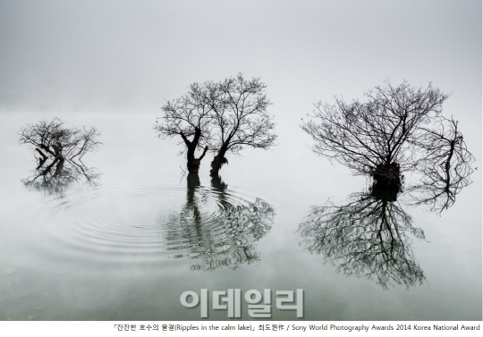 [포토]2014 소니 월드 포토그래피 어워드